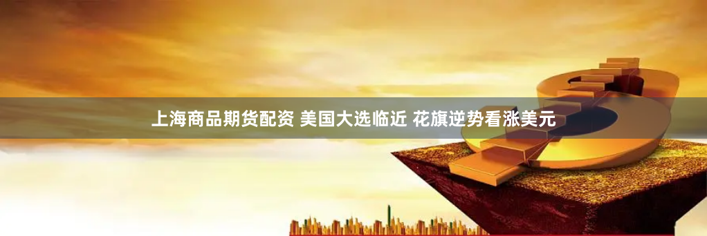 上海商品期货配资 美国大选临近 花旗逆势看涨美元