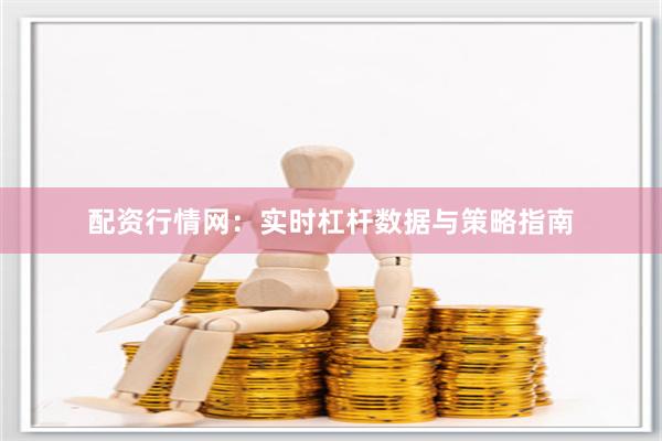 配资行情网：实时杠杆数据与策略指南